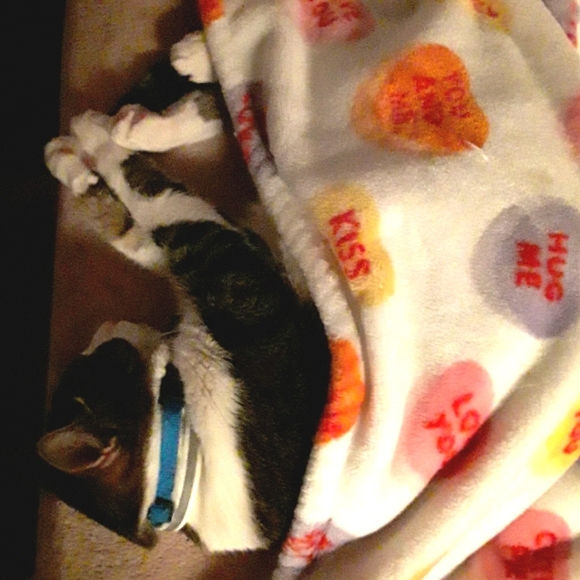 ☮️ Amber Marie ✌️ Poshmark Ambassador 👊 - Picture 11 of 16